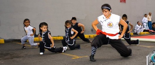Kung Fu Niños