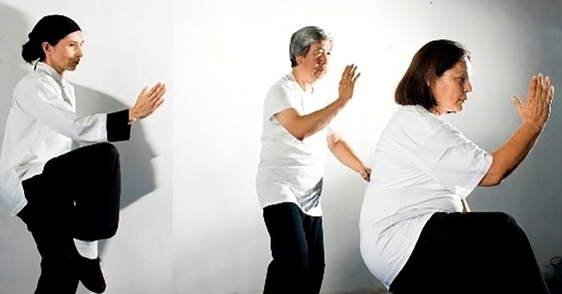 Tai Chi Chuan / Qigong San Jose