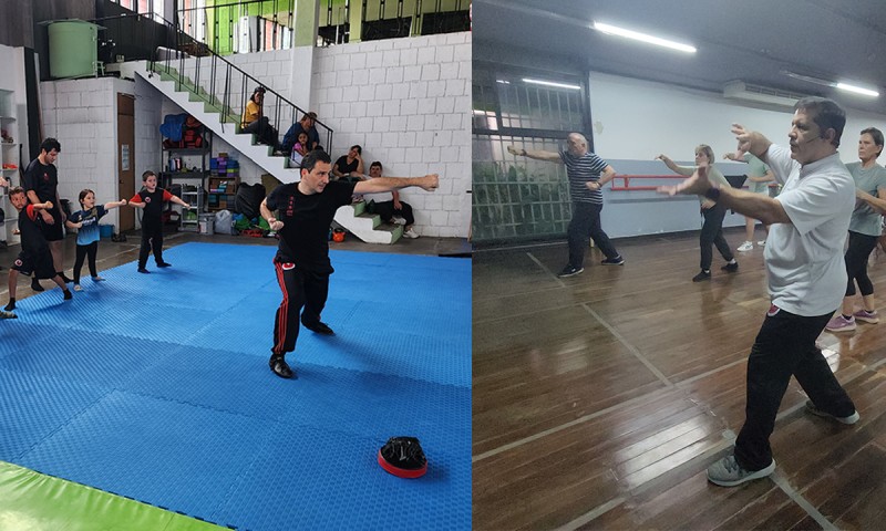 Formación de Instructores de Nivel Básico en Tai Chi Chuan, Qigong y Kung Fu