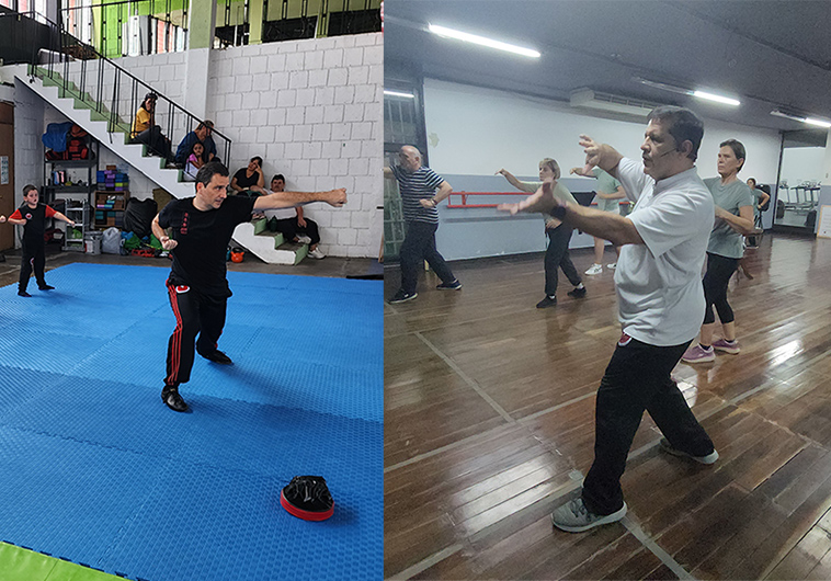 Formación de Instructores de Nivel Básico en Tai Chi Chuan, Qigong y Kung Fu