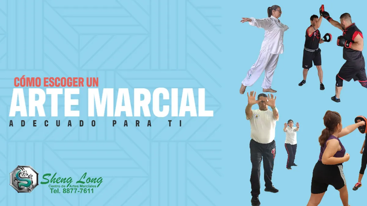 Cómo elegir el mejor estilo de artes marciales para ti: Comparativa entre Kung Fu, Full Contact, Qigong y Tai Chi