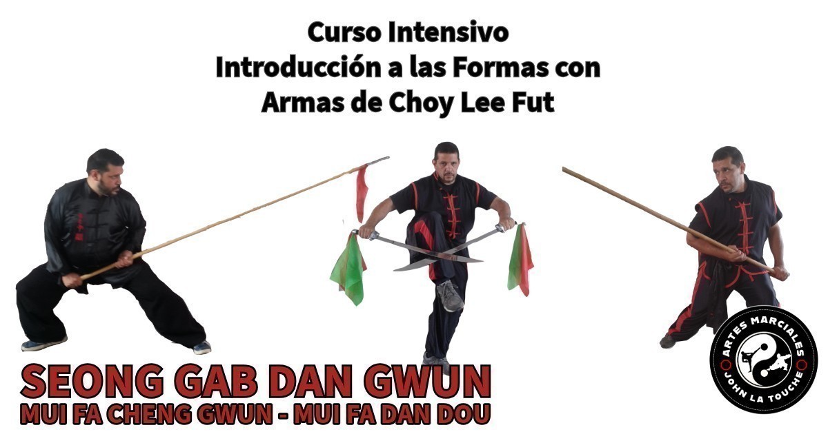 Introducción al Entrenamiento con Muñecos de Choy Lee Fut en Costa Rica