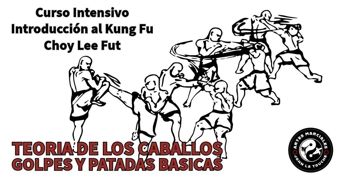 Certificación Monitor Kung Fu Choy Lee Fut: Programa Completo con 15% de Descuento