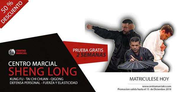 Promocion de Fin de Año Centro Sheng Long