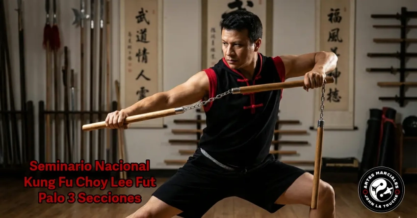 2do Seminario Nacional Kung Fu Choy Lee Fut (Avanzados) - 2026